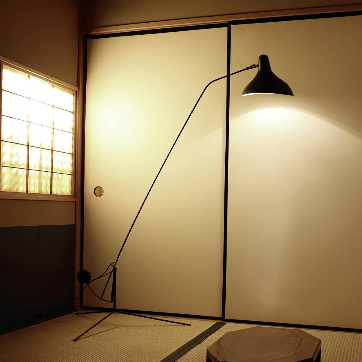 ArcMotion Mantis Arm Floor Lamp