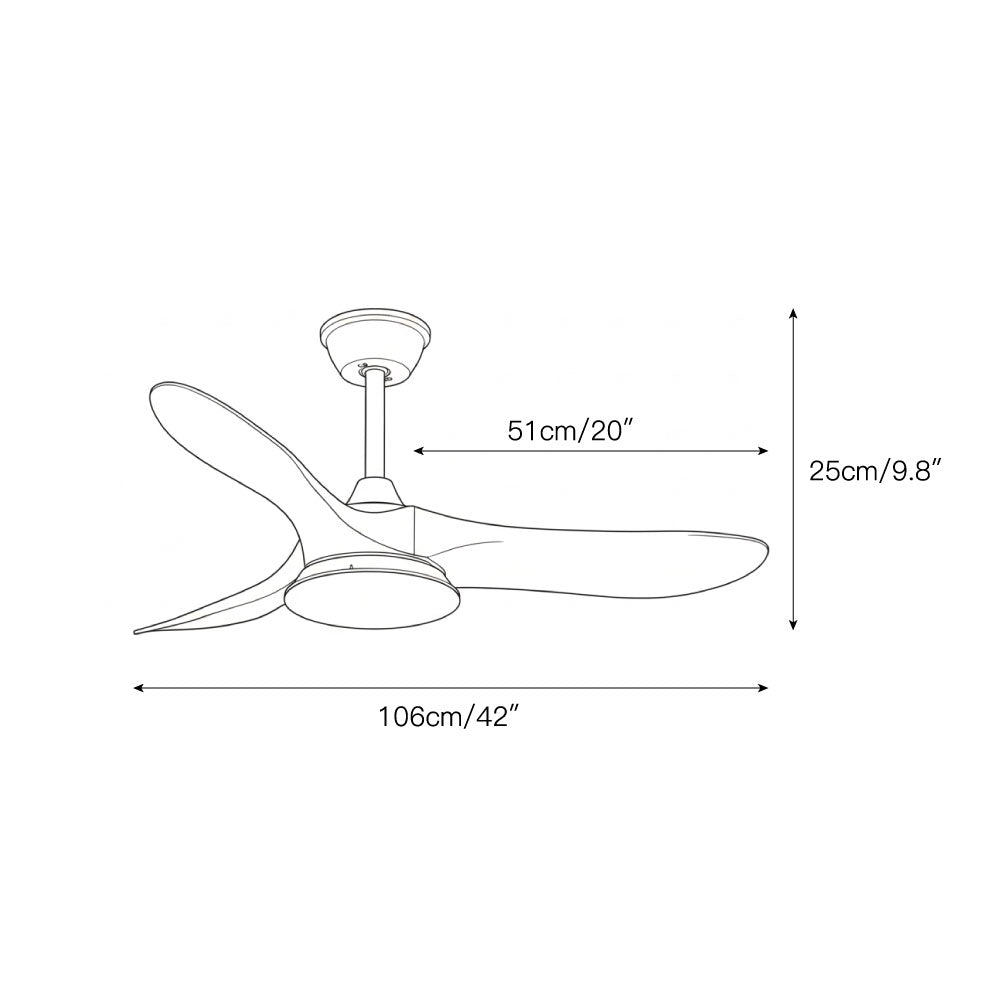 Liorueria Ceiling Fan Light
