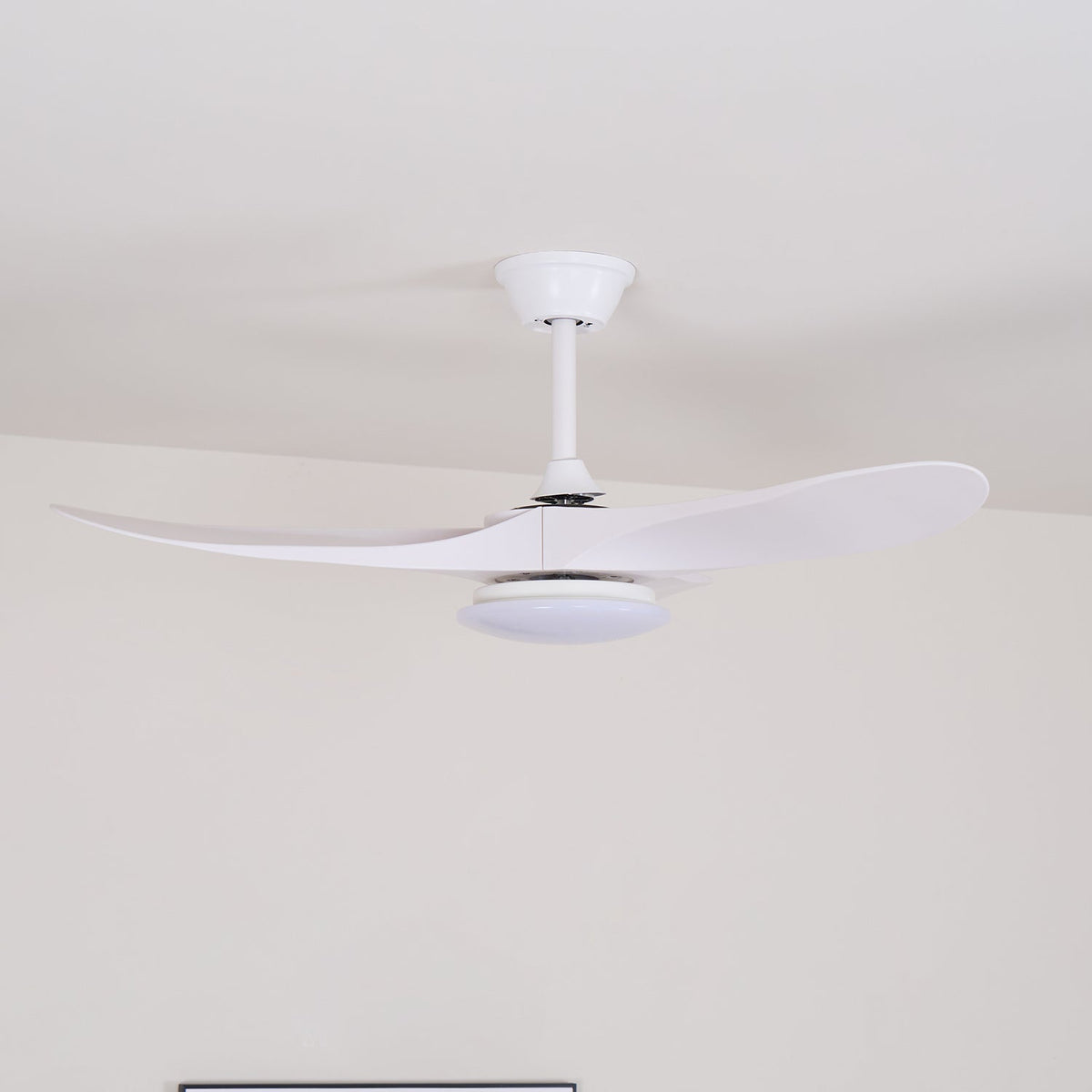 Miriveon Drift Ceiling Fan Light