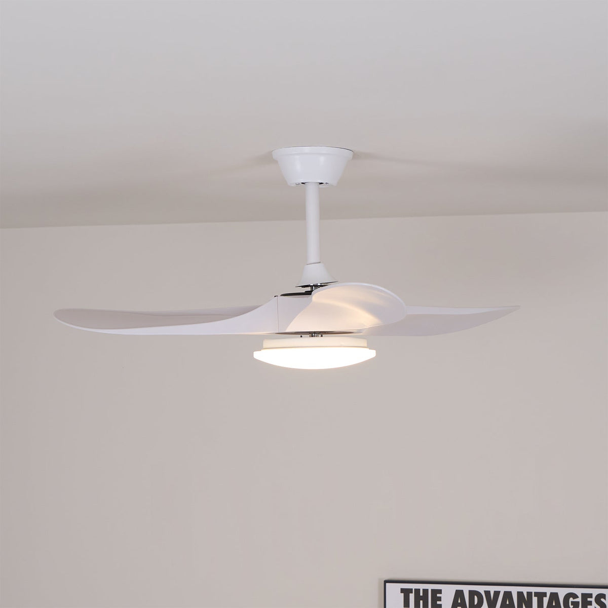 Miriveon Drift Ceiling Fan Light