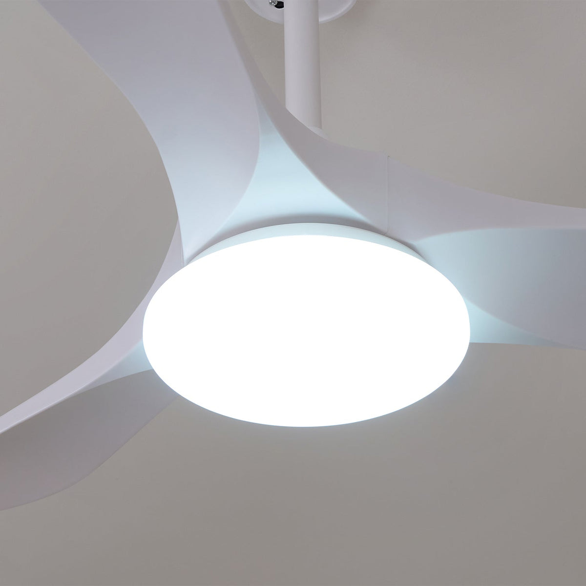 Oriken Minimalist Ceiling Fan Light