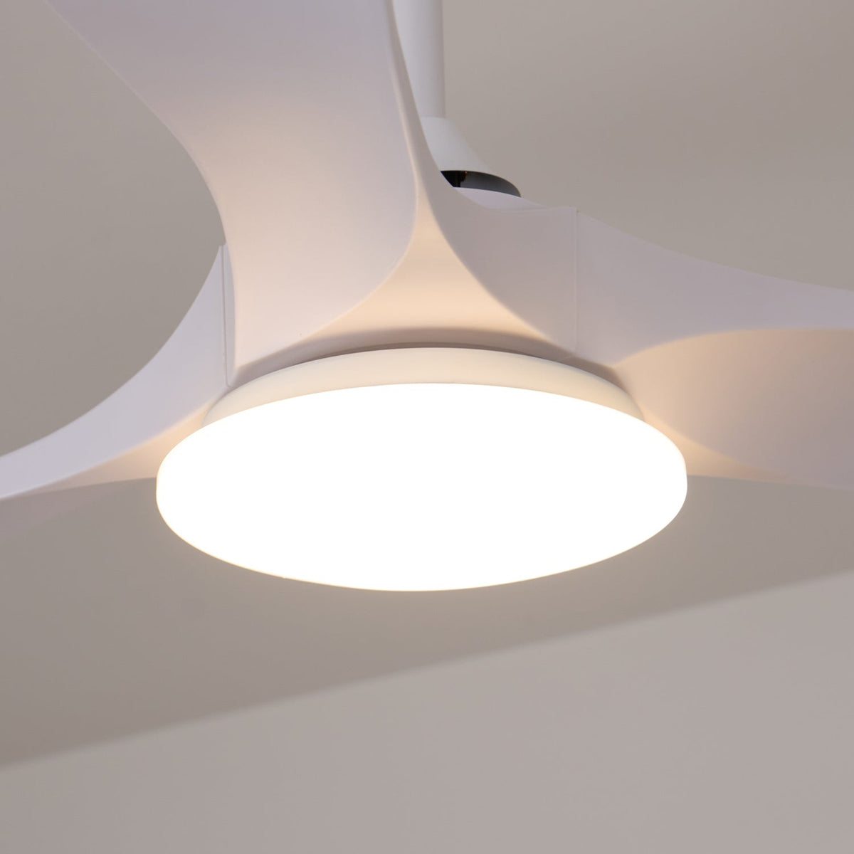 Miriveon Drift Ceiling Fan Light