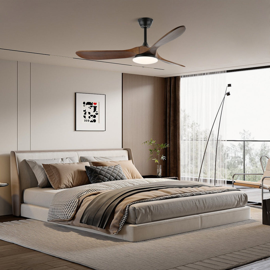 Liorueria Ceiling Fan Light