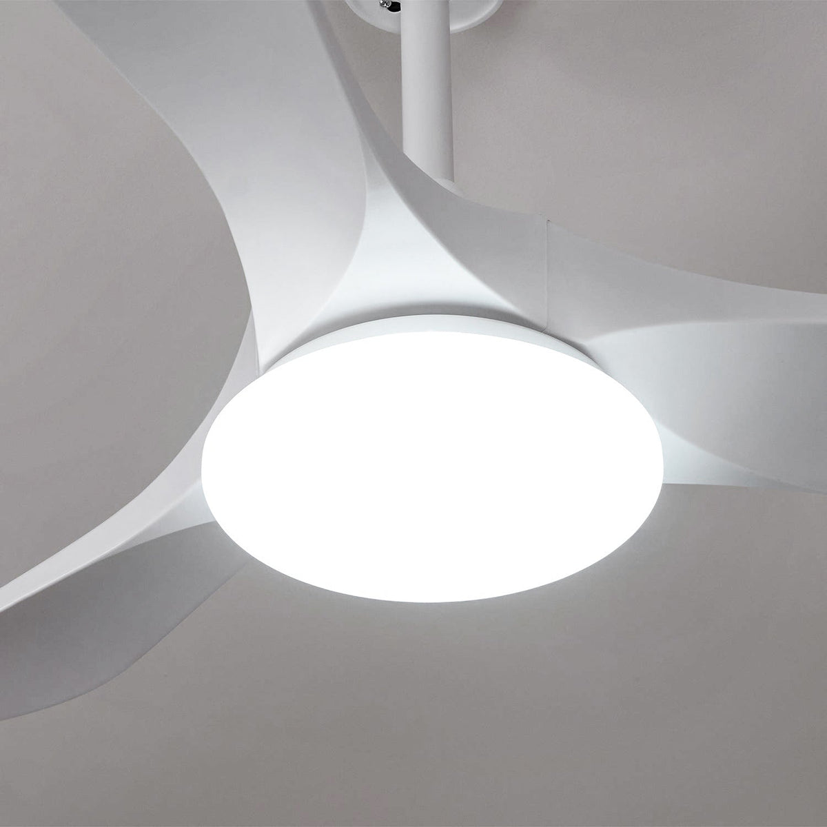 Liorueria Ceiling Fan Light