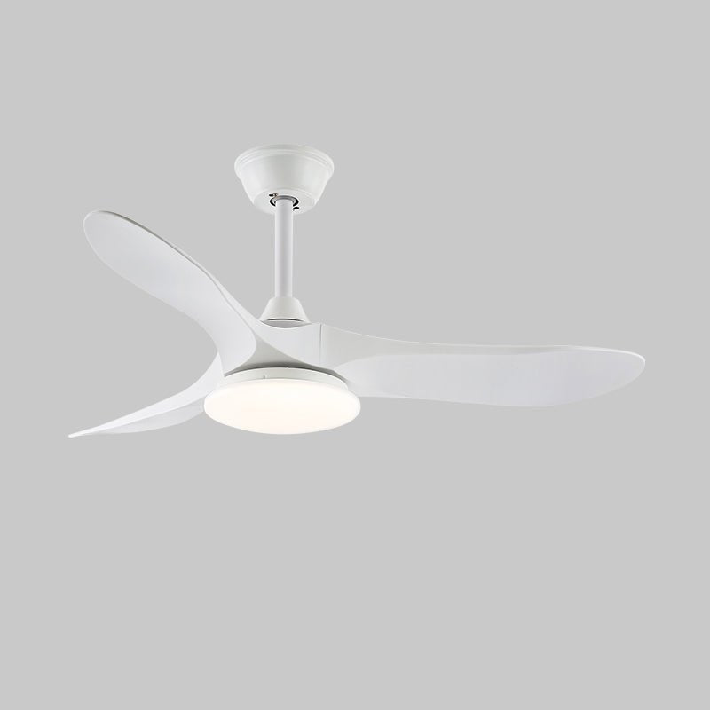Oriken Minimalist Ceiling Fan Light