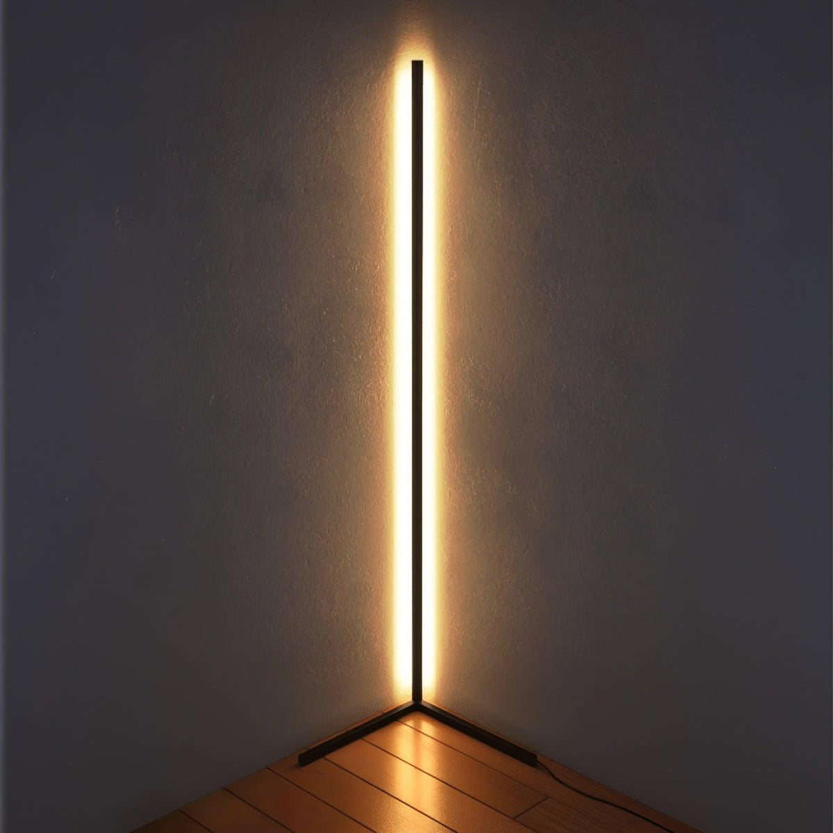 Seleina Minimalist Floor Lamp