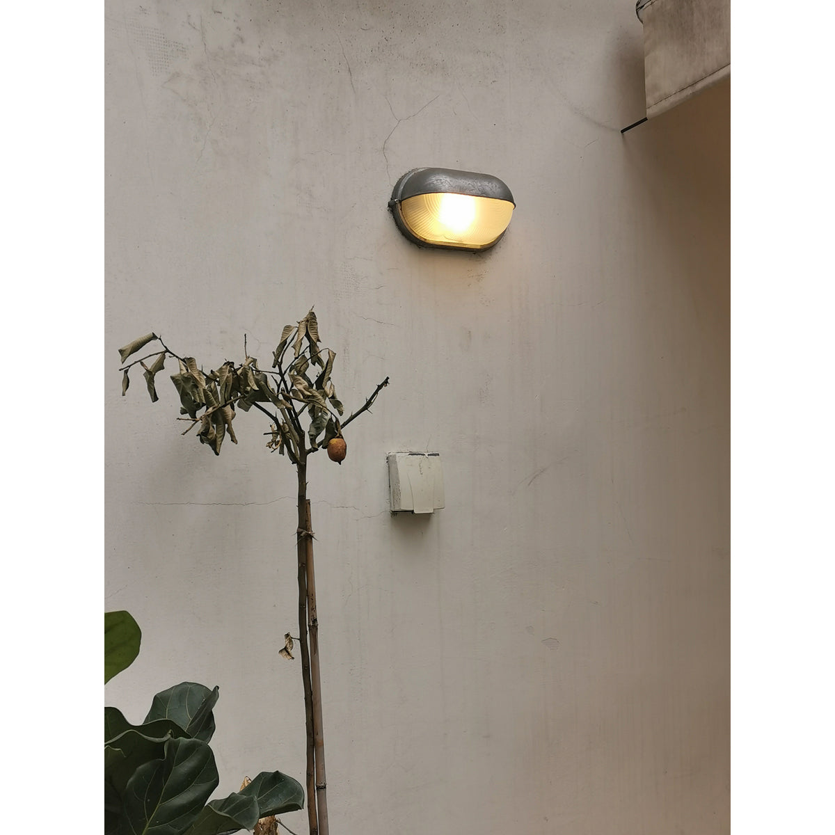 Goima Glass Outdoor Light