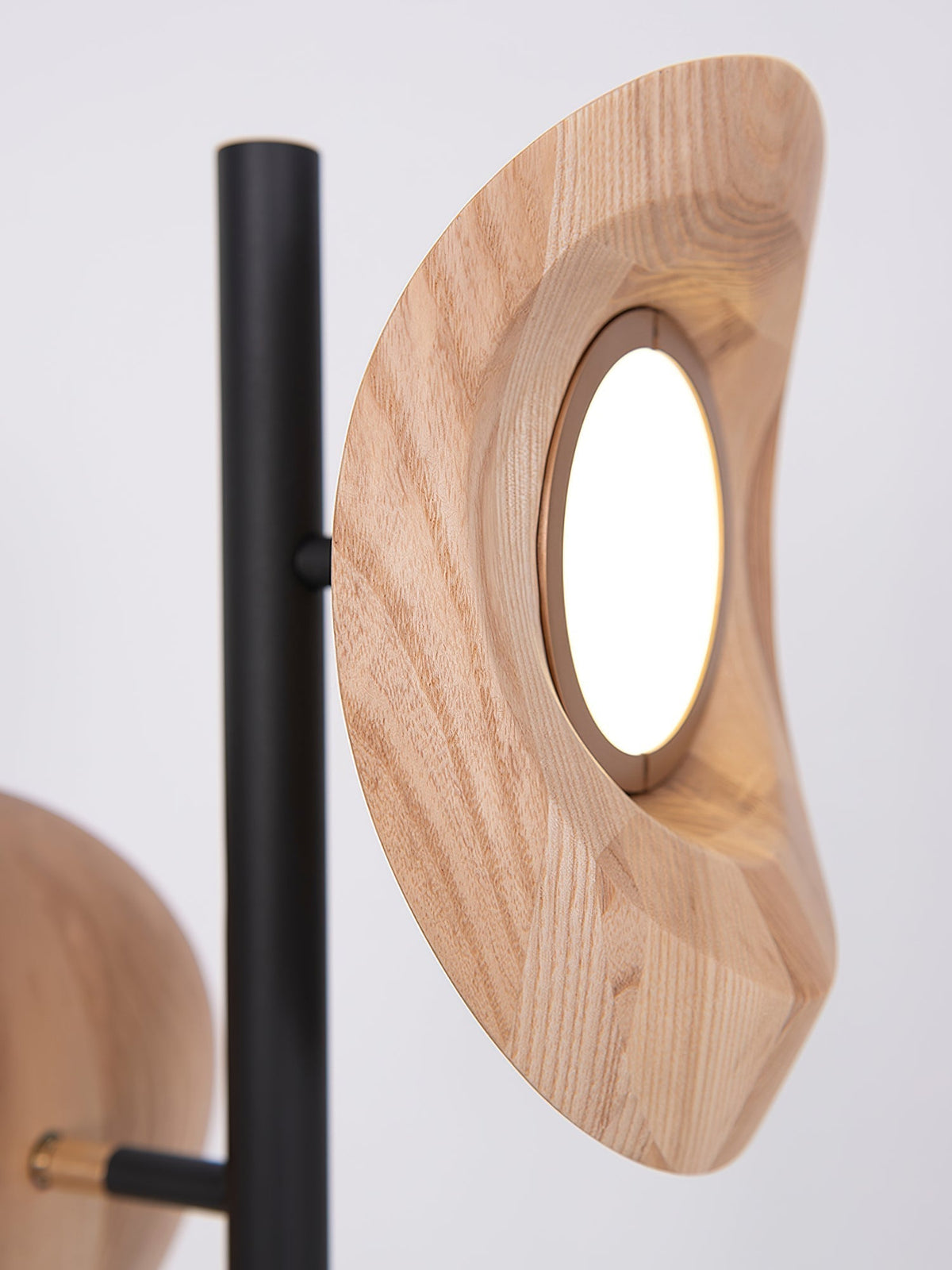 Ceyran Double Sphere Black Floor Lamp