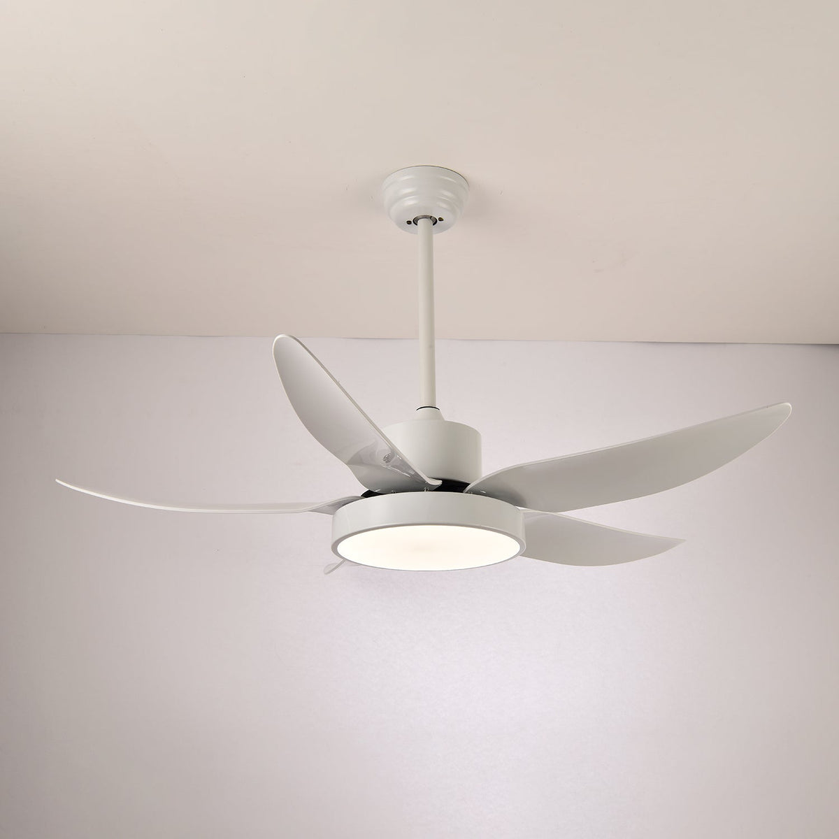 Selalise Modern Ceiling Fan Light