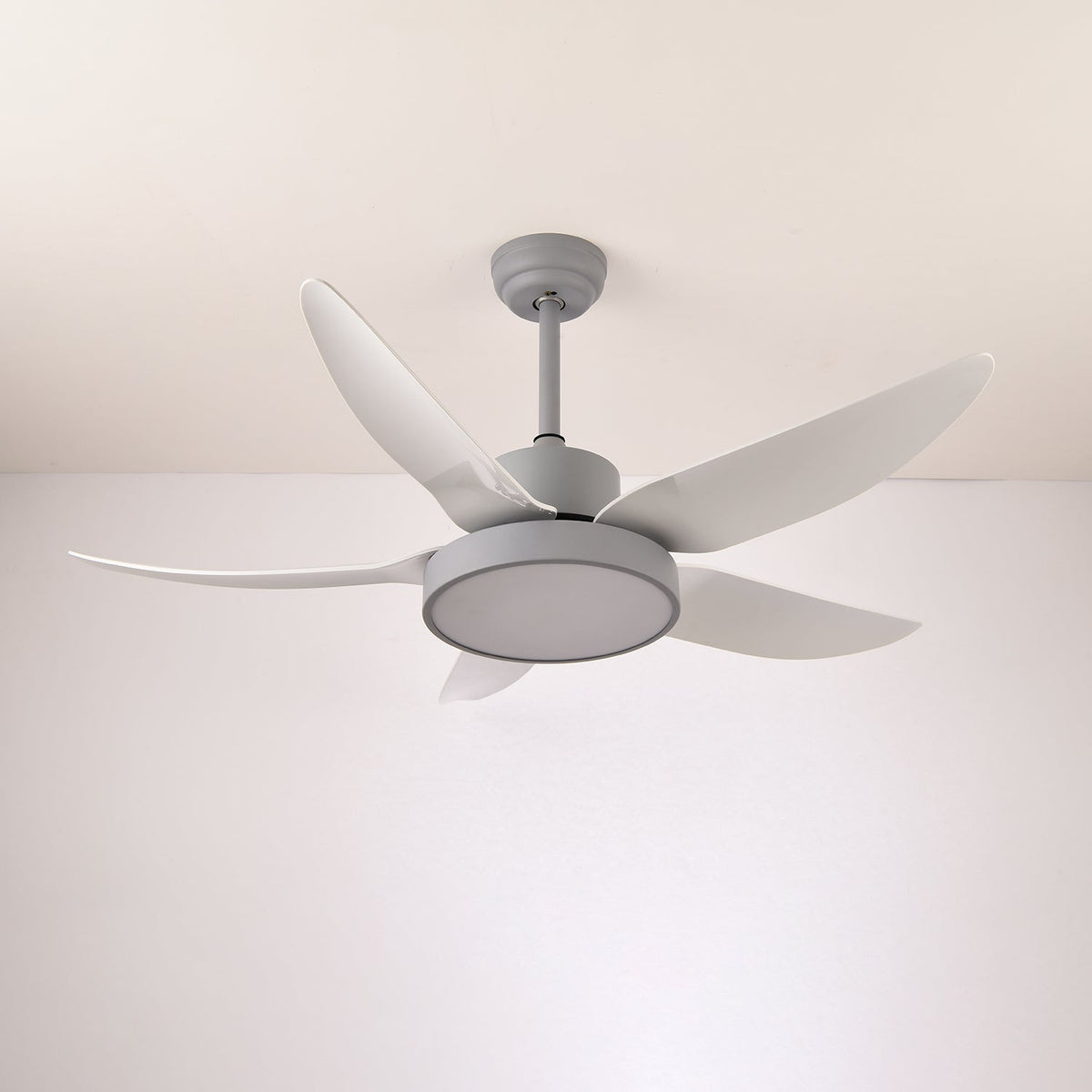 Selalise Modern Ceiling Fan Light
