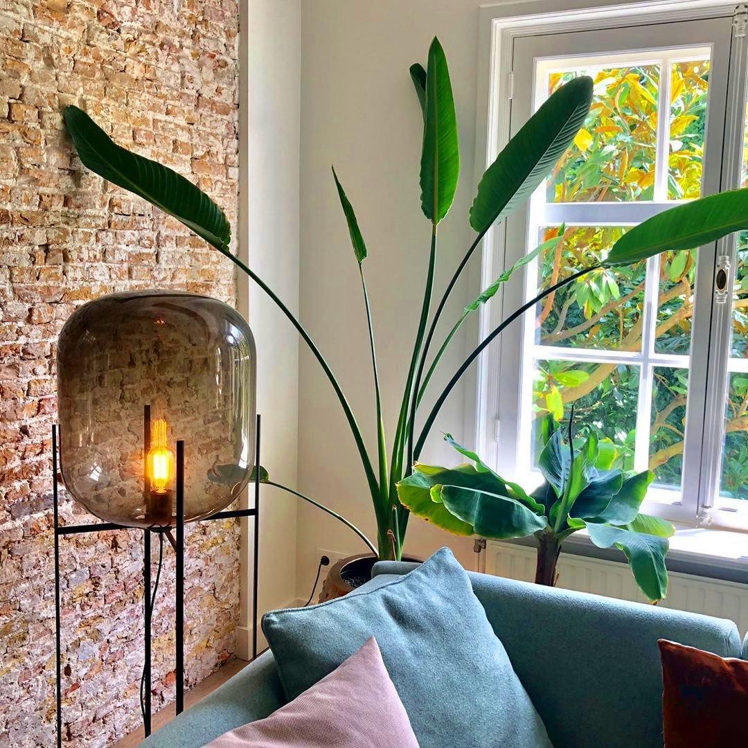 Liorivelia Glass Industrial Floor lamp