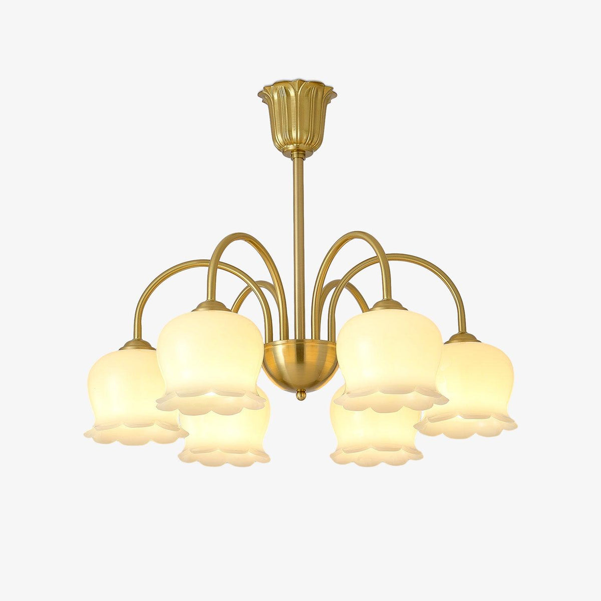 Solenora Chandelier Brass Elegant Curved Arm