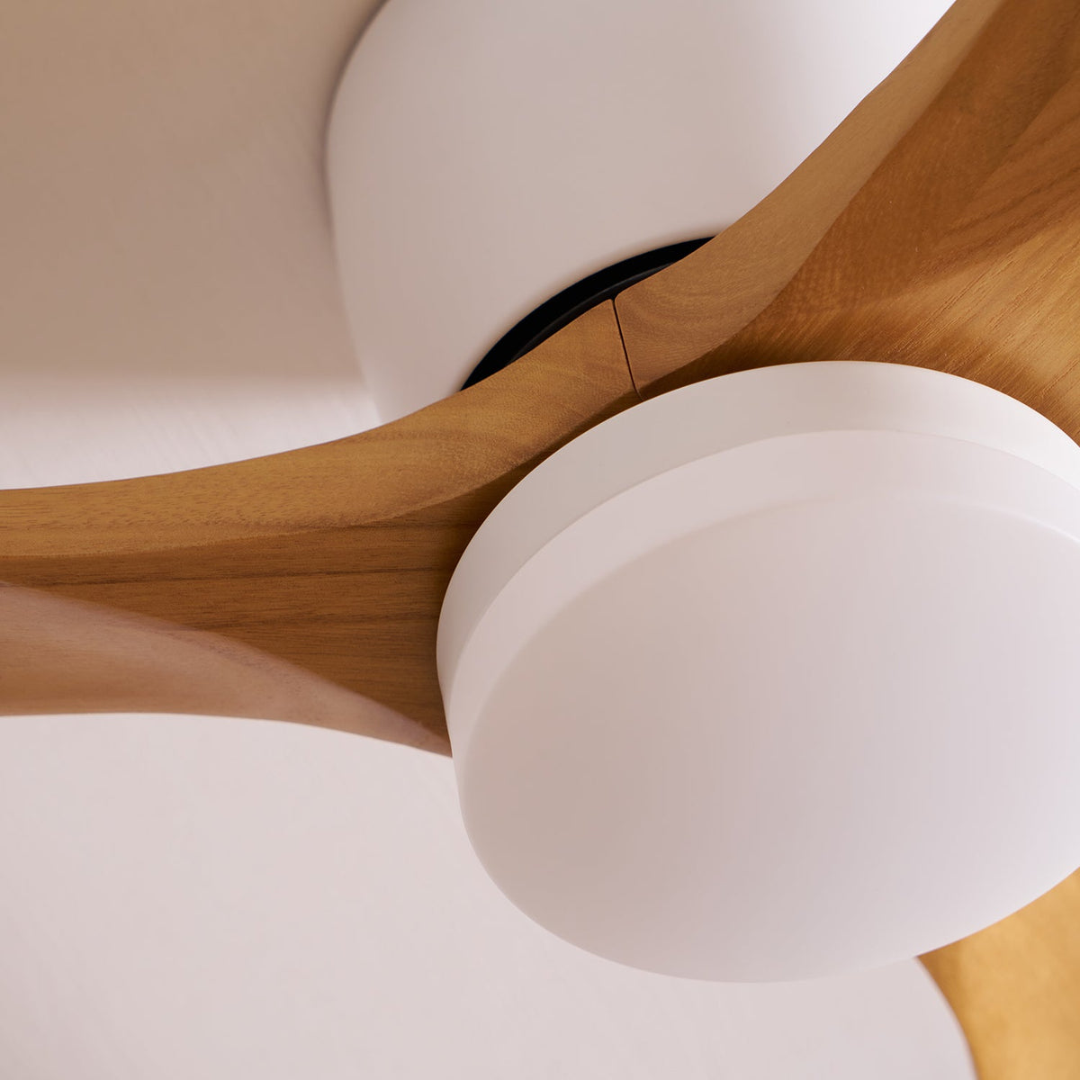 Elena Modern Wood Ceiling Fan Light