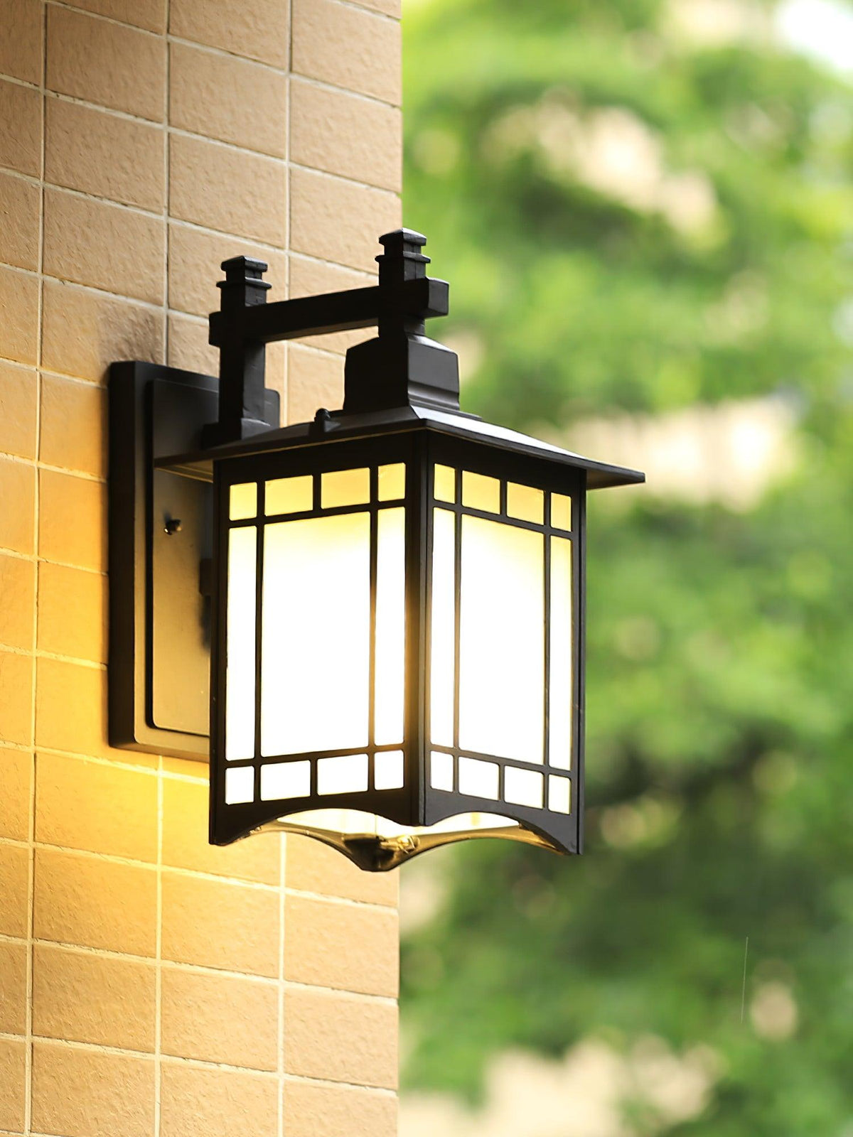 Lioruelle Elegance House Glass Outdoor Wall Light