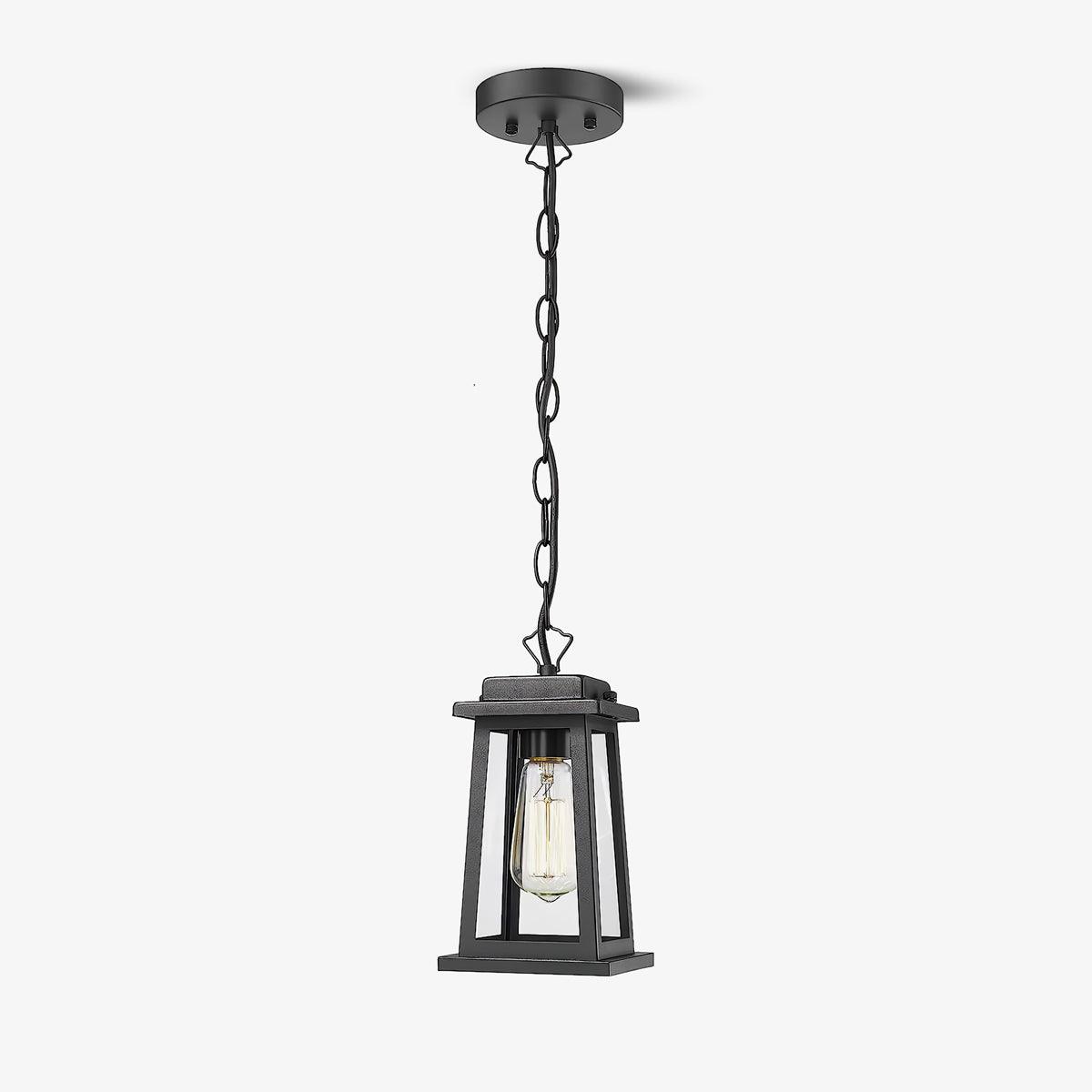 Terierenne Outdoor Lantern Pendant Light