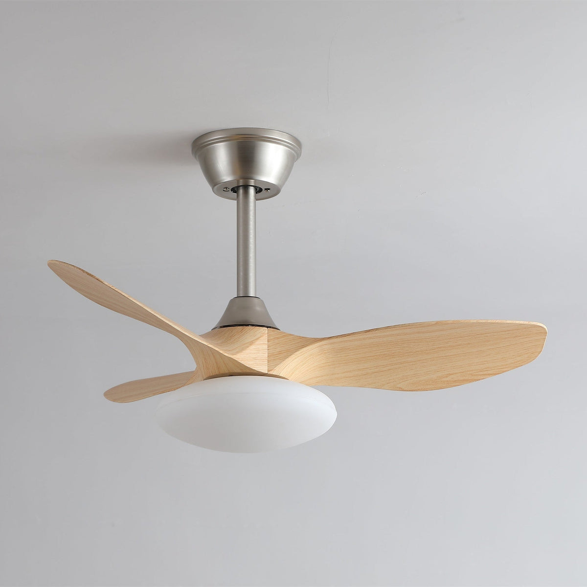 Sylvara Ceiling Fan Light