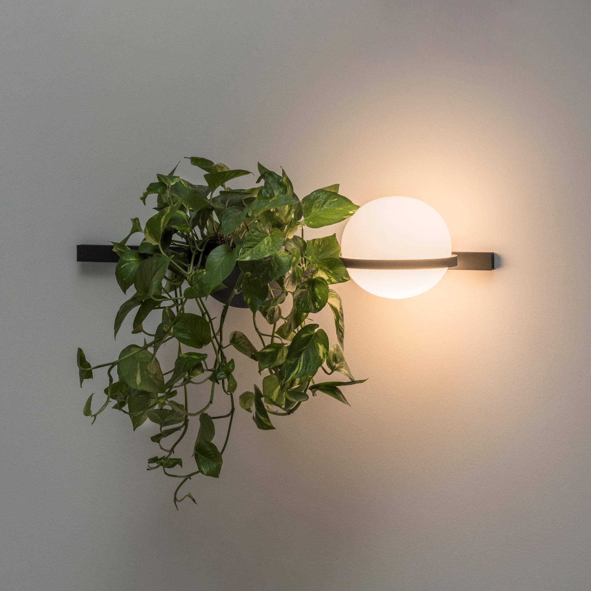 Suren Indoor Outdoor Wall Light