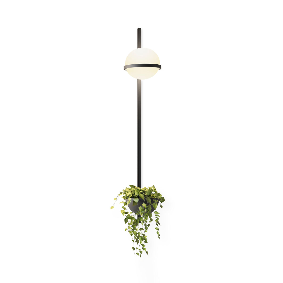 Suren Indoor Outdoor Wall Light