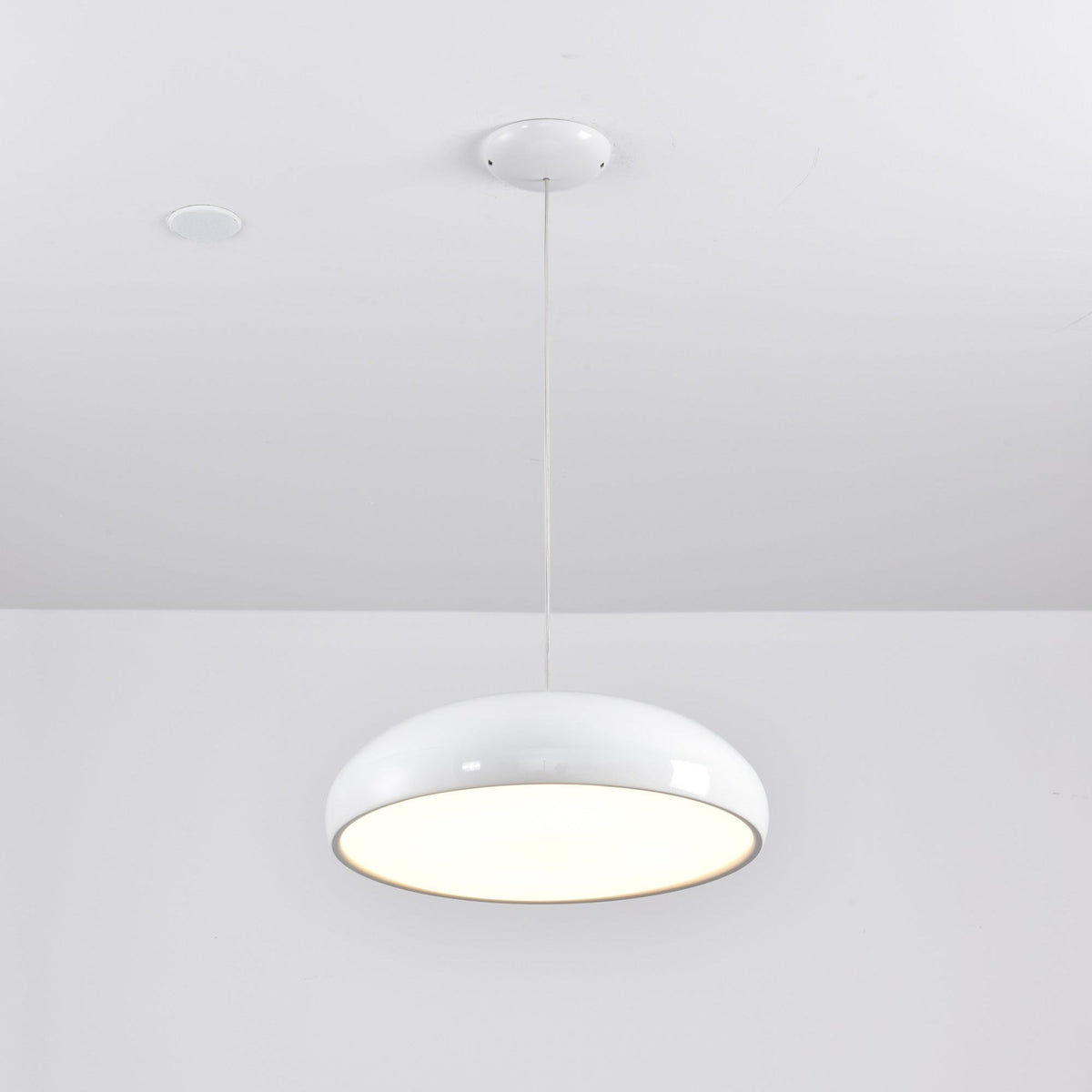 Renaraine Minimalist Pendant Lamp