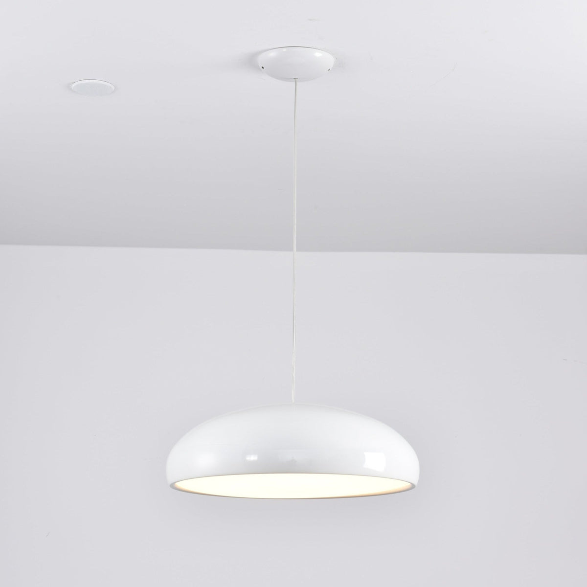 Renaraine Minimalist Pendant Lamp