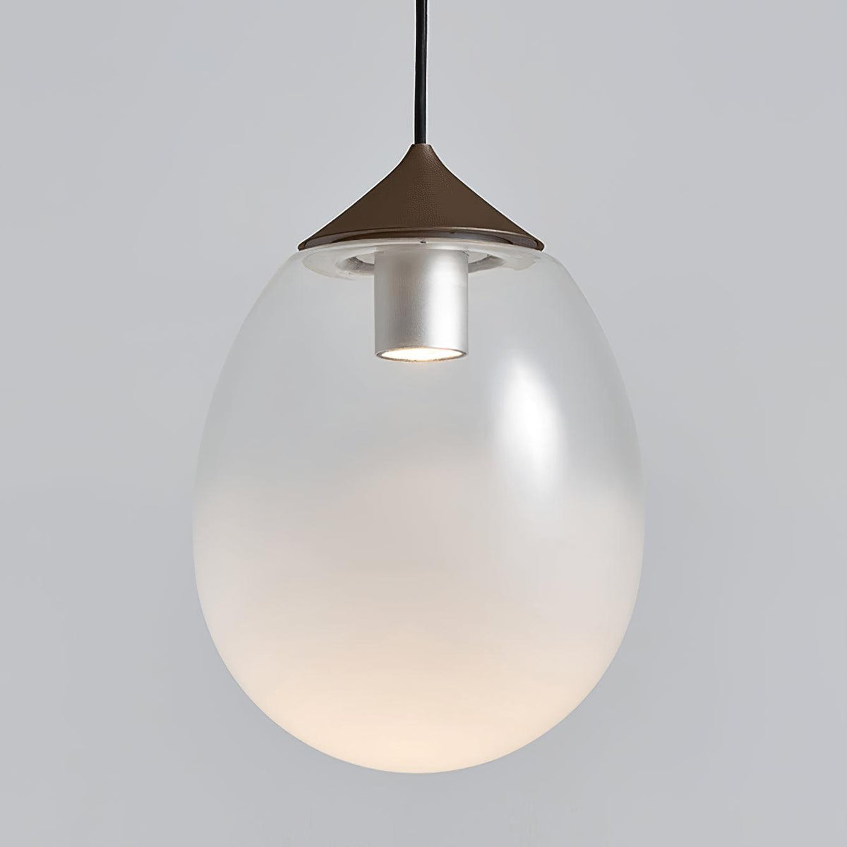 Ovoin Glass Artistic Pendant Light
