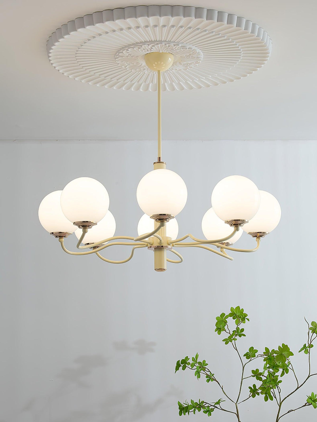 Seleora Chandelier Radiant Globe