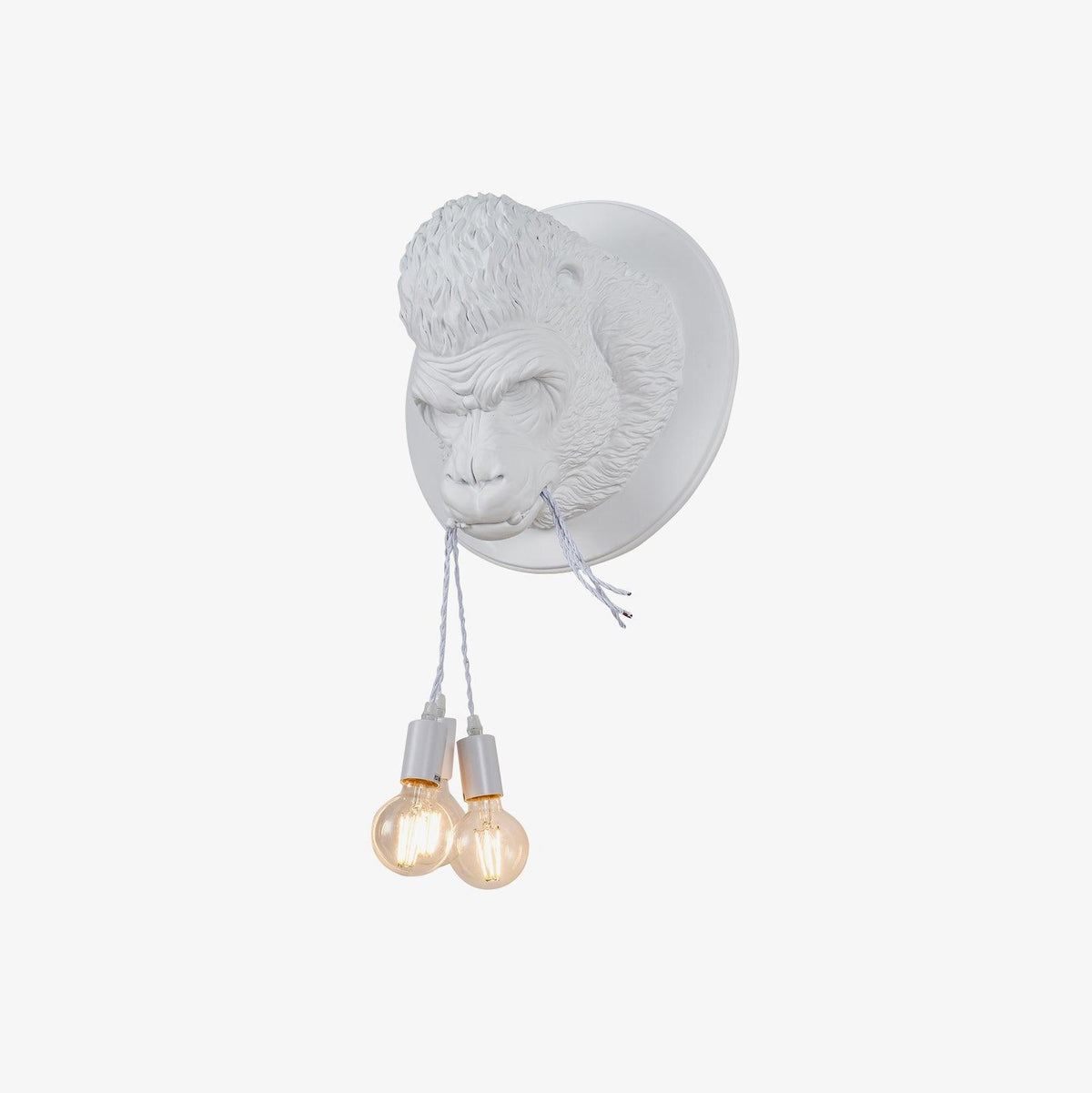 Emlen Premium Elegance Resin Sconce Wall Lamp