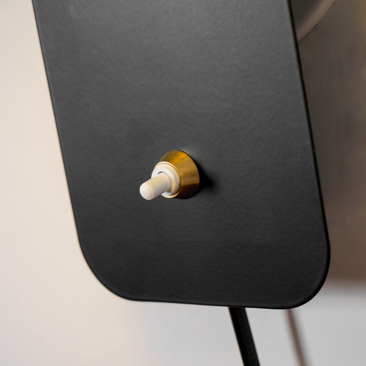 Buxia Rotatable Cylinder Plug In Indoor Wall Light