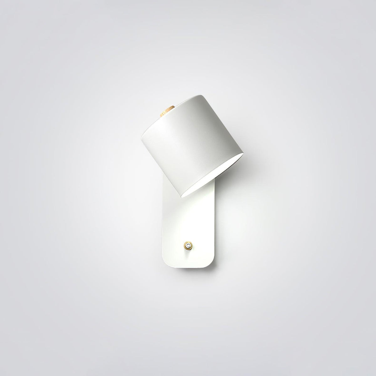 Ebika Rotatable Cylinder Indoor Wall Light