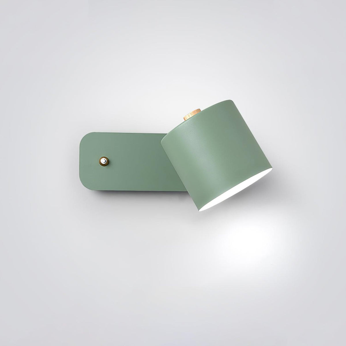 Ebika Rotatable Cylinder Indoor Wall Light