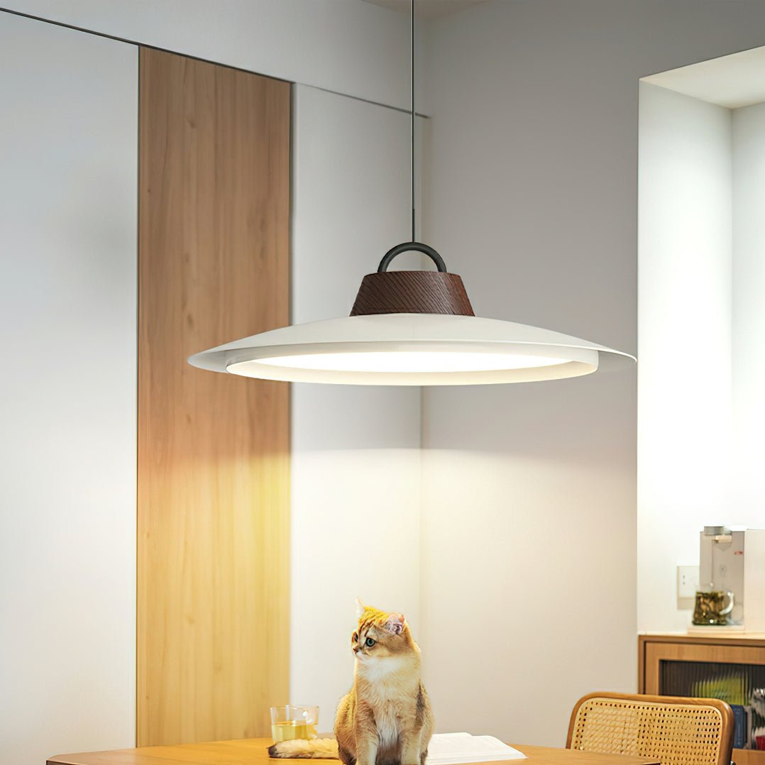 Liorivaine Modern Pendant Light