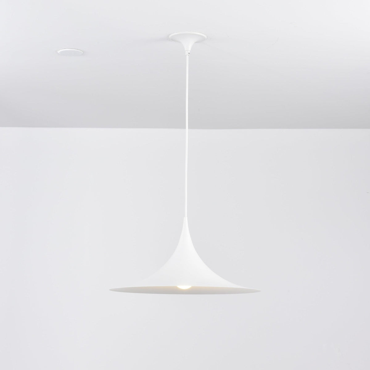 Lioreina Swag Pendant Light