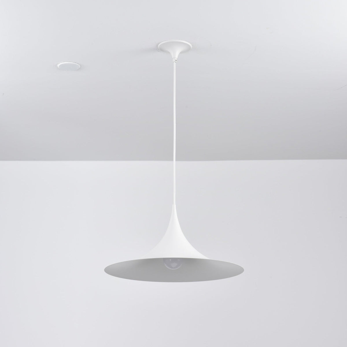 Lioreina Swag Pendant Light
