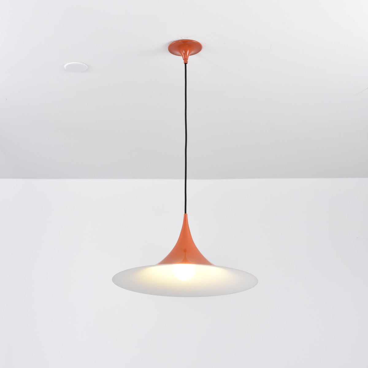 Valerira Steel Sculptural Pendant Light