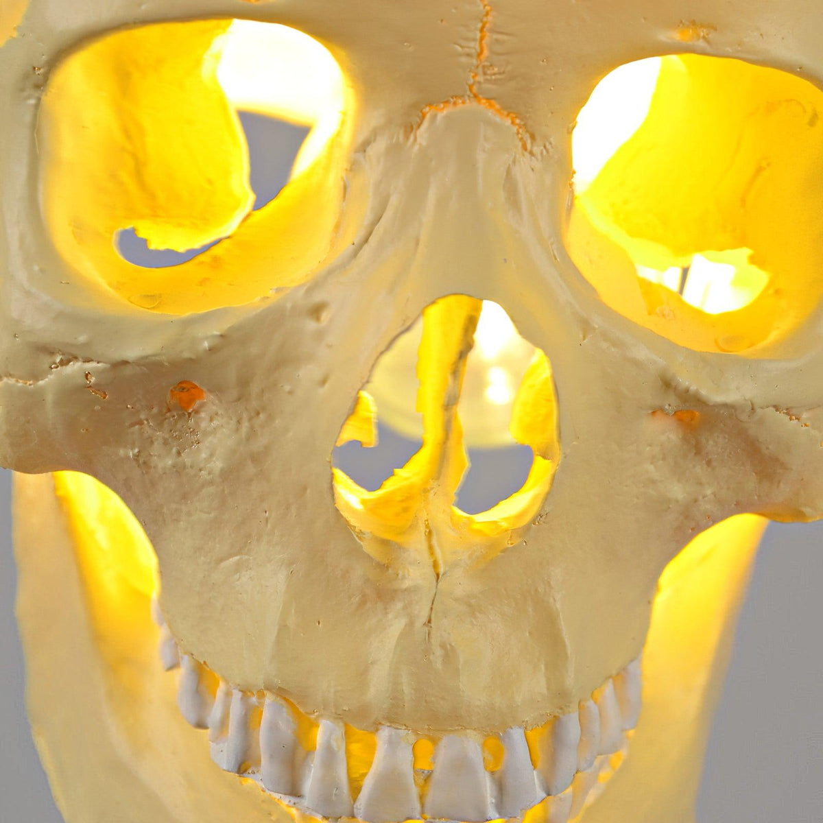 Boriel Resin Artistic Pendant Light