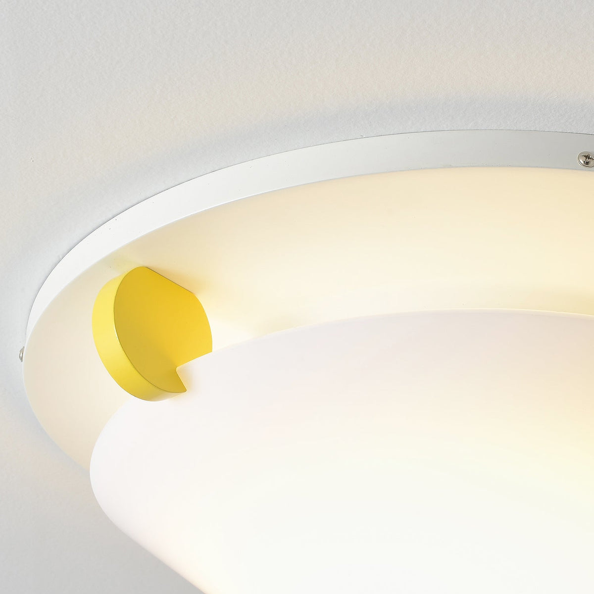 Xrtvin Individual Creativity Ceiling Lamp