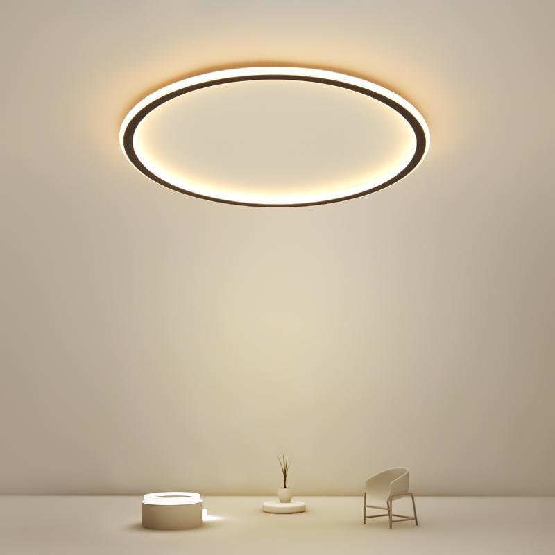 Bertina Round Framed Industrial Metal Flush Mount Ceiling Lights - Lamp Outdoor