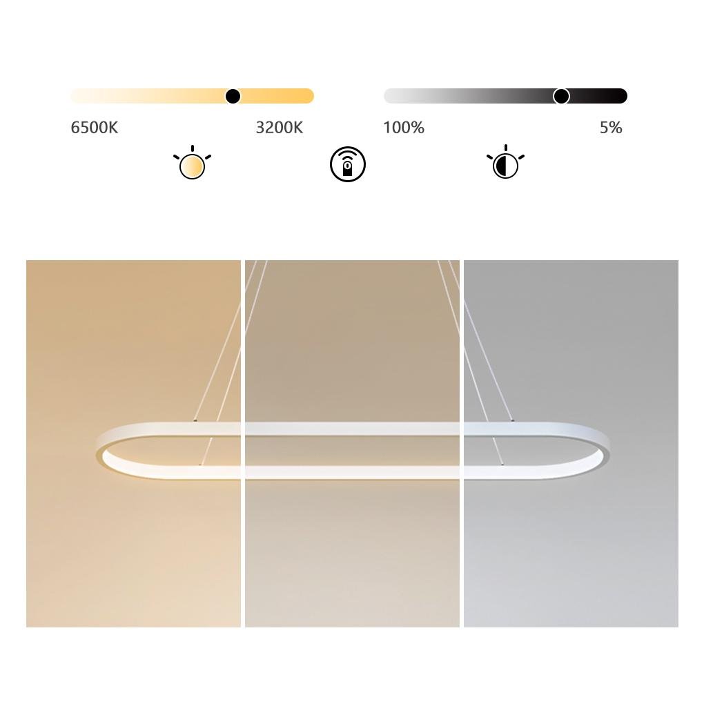 Modern Oval Hanging Chandelier with Remote Control - Lamp Outdoor