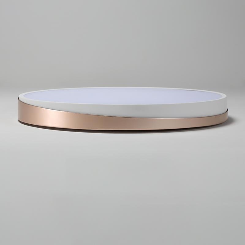 Maude Circle Modern Metal Flush Mount Ceiling Lights - Lamp Outdoor