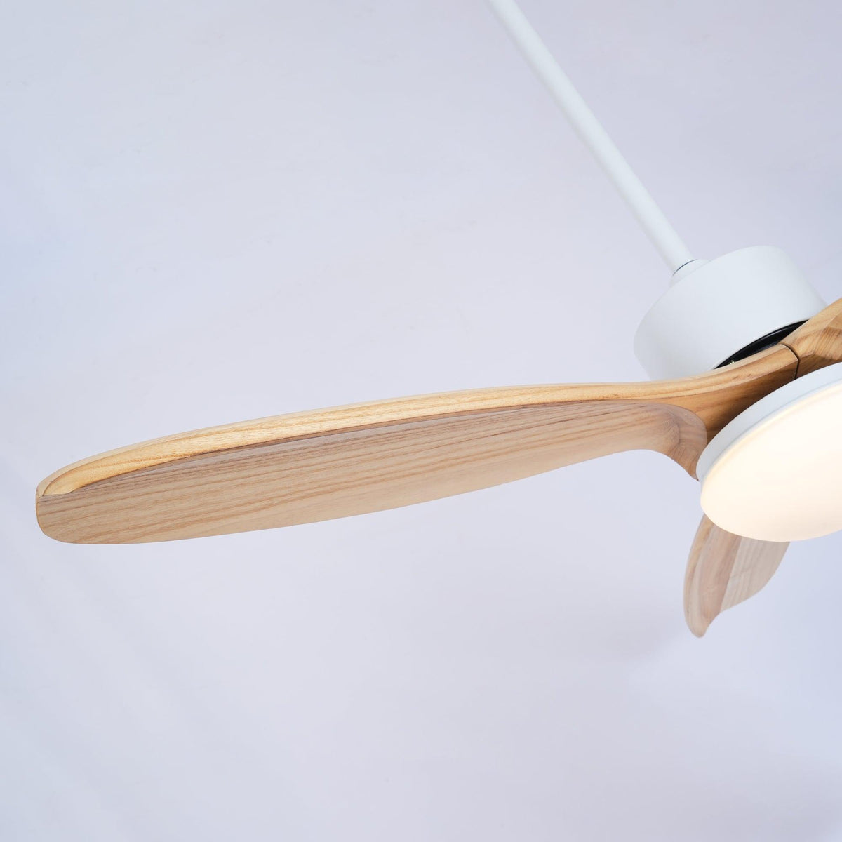Norirora Elegance Natural Ceiling Fan Light