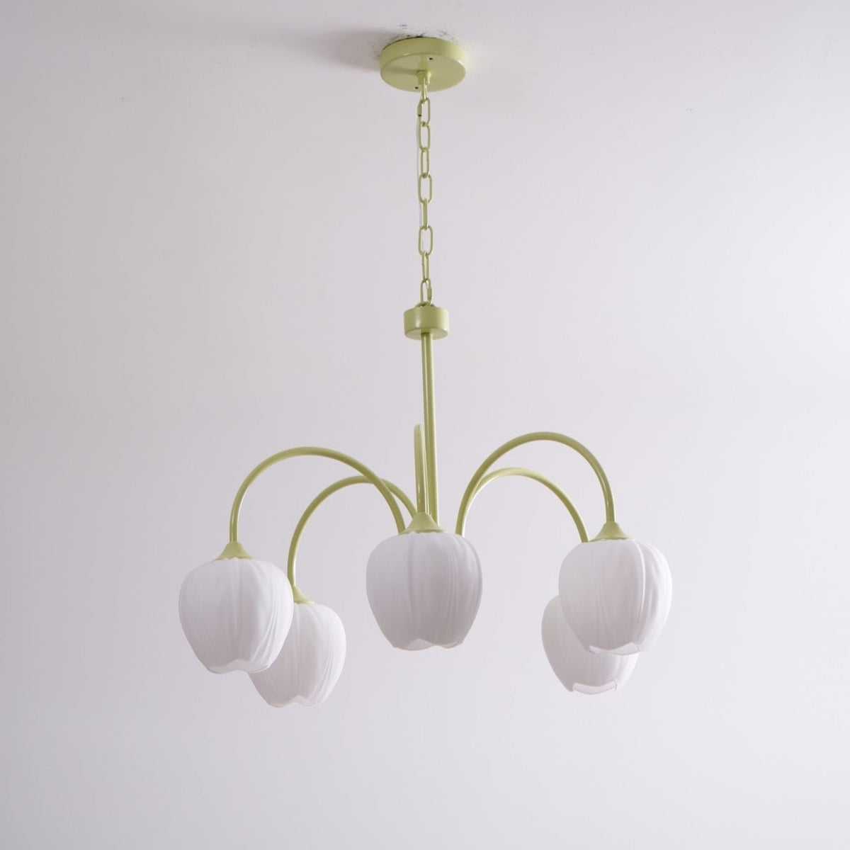 Gaina Tulip Matcha Chandelier