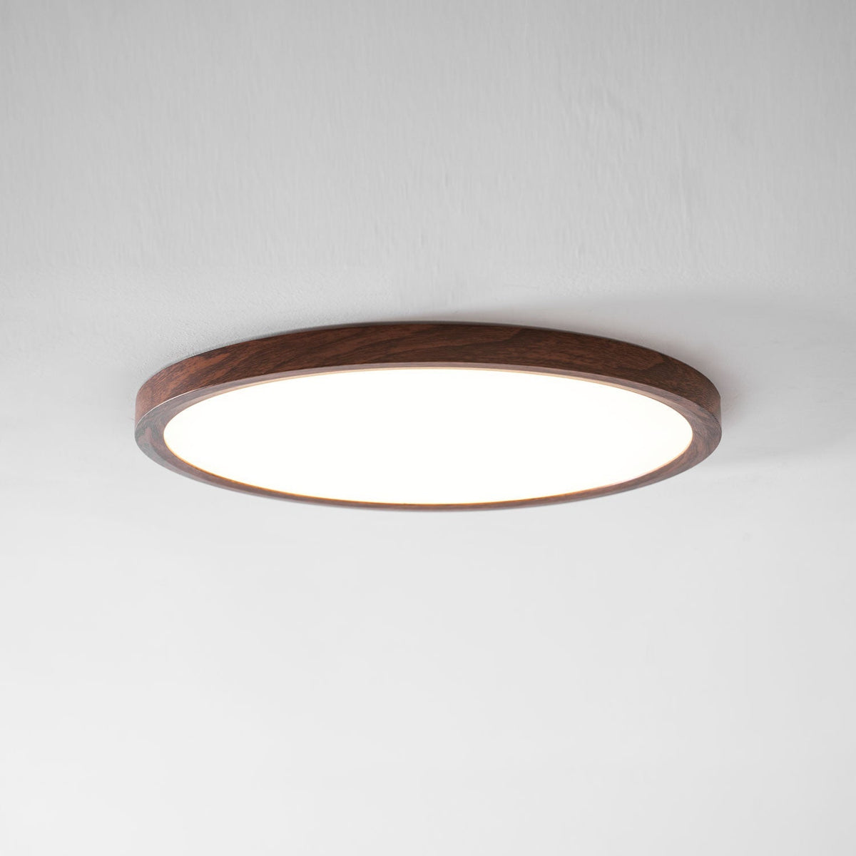 Femae Ultrathin Round Flush Mount Ceiling Light