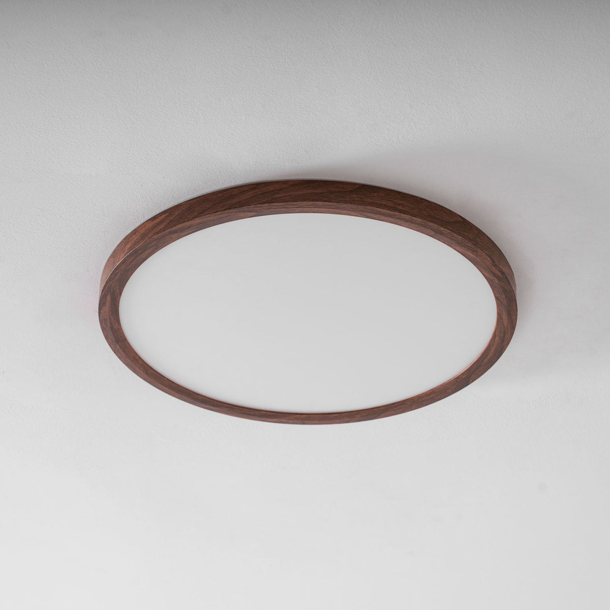 Femae Ultrathin Round Flush Mount Ceiling Light