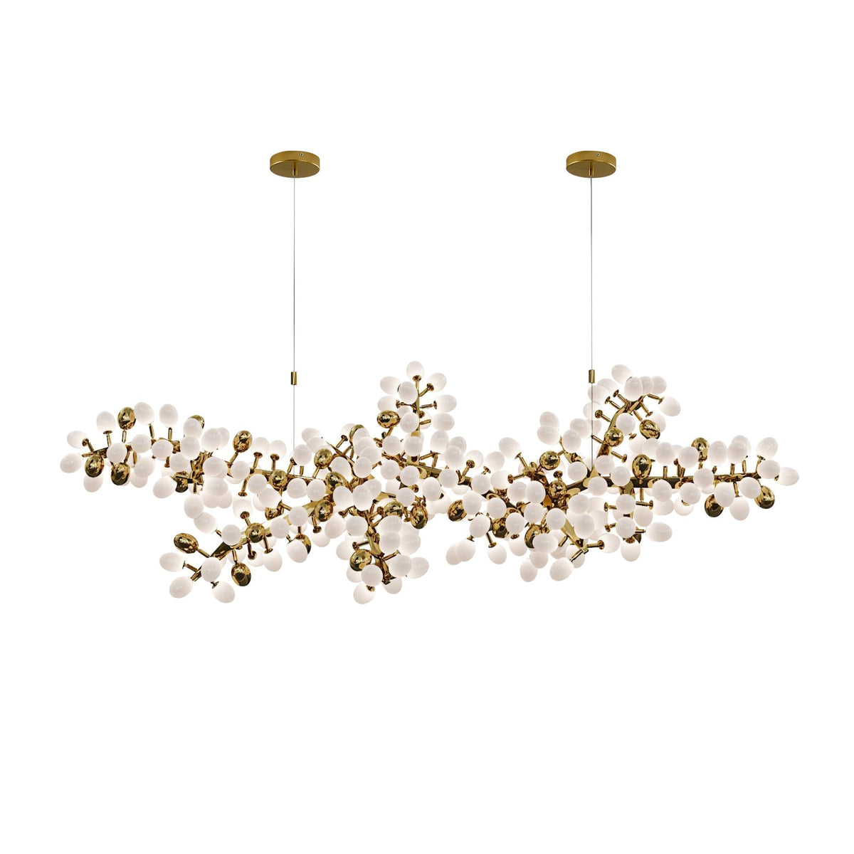 Lioraaria Glass Chandelier