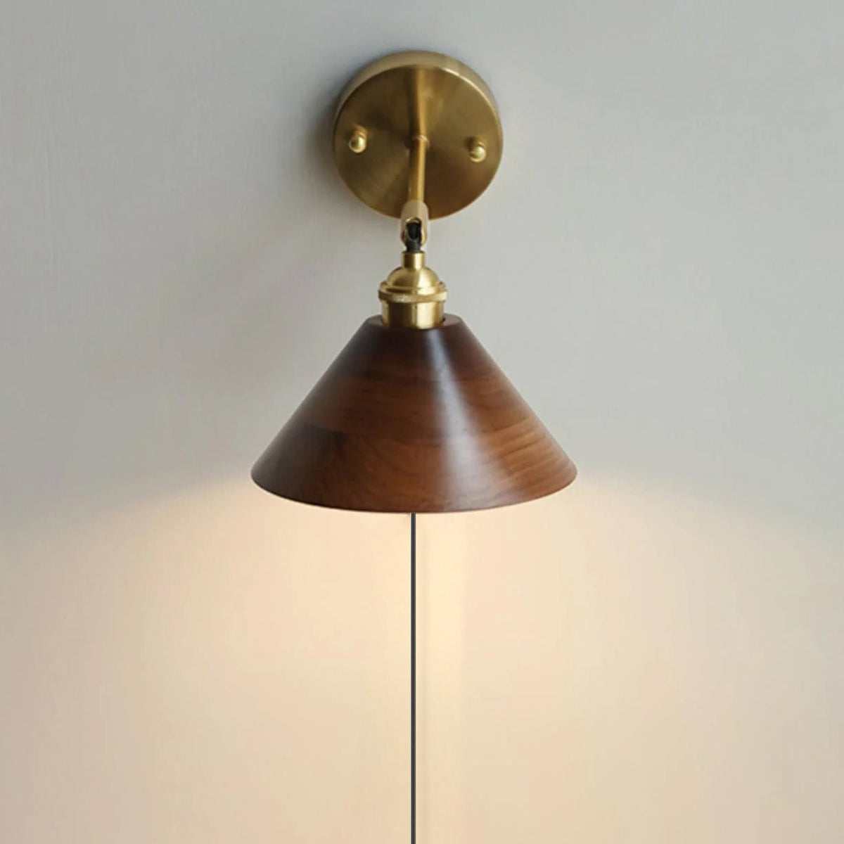 Hesia Wood Plug In Indoor Wall Light