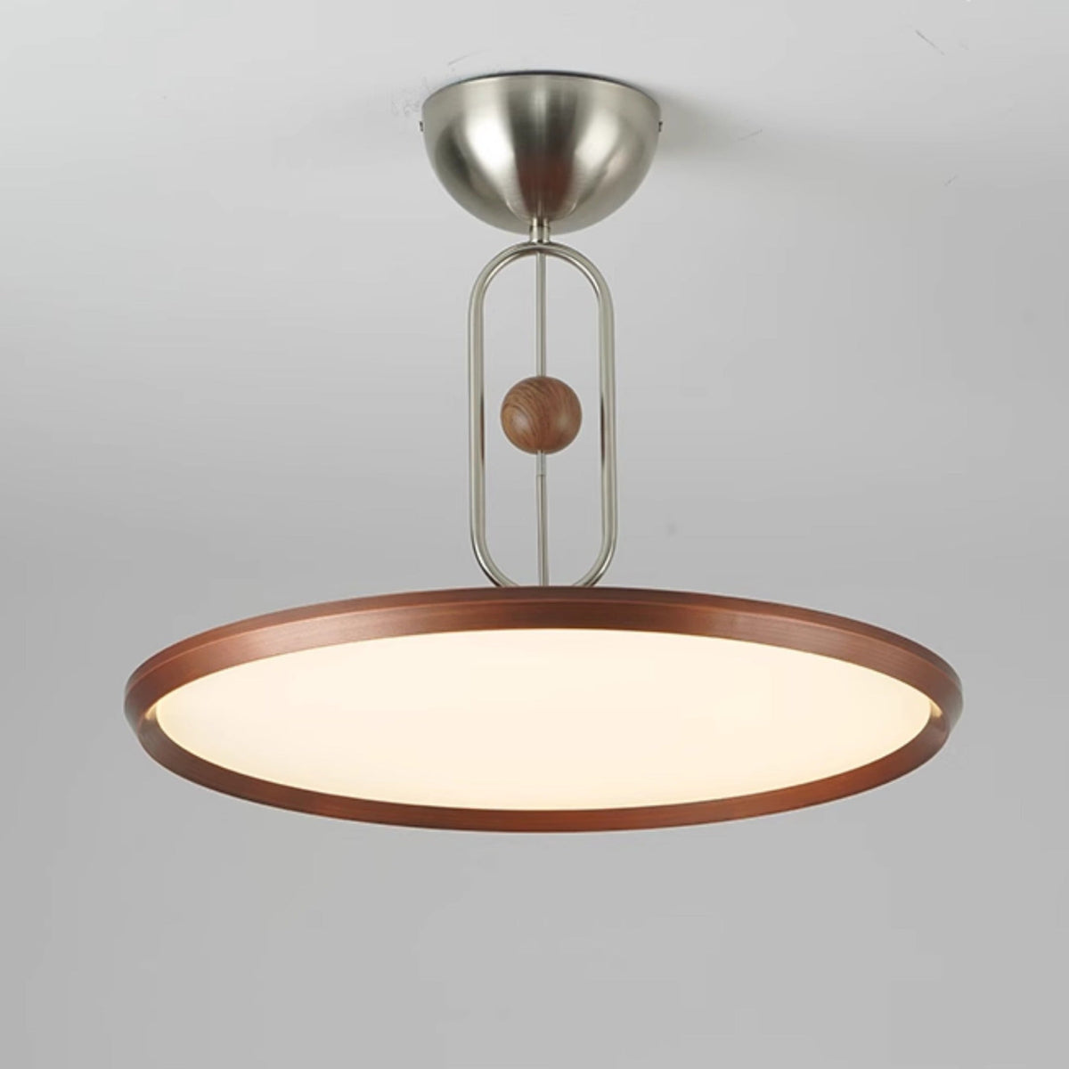 Lucaian Modern Acrylic Ceiling Lamp