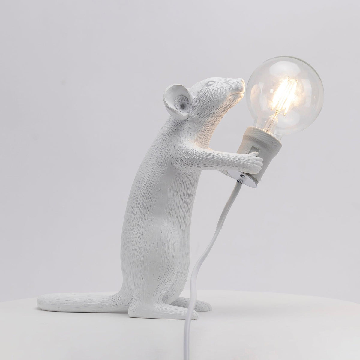 Kalinix Resin Whimsical Table Light