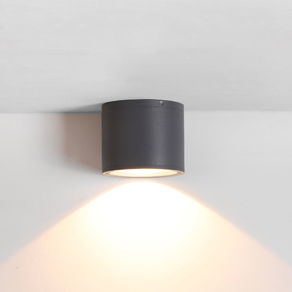 Ray Modern Cylindrical Flush Mount Ceiling Light Metal Glass - Lamp Outdoor