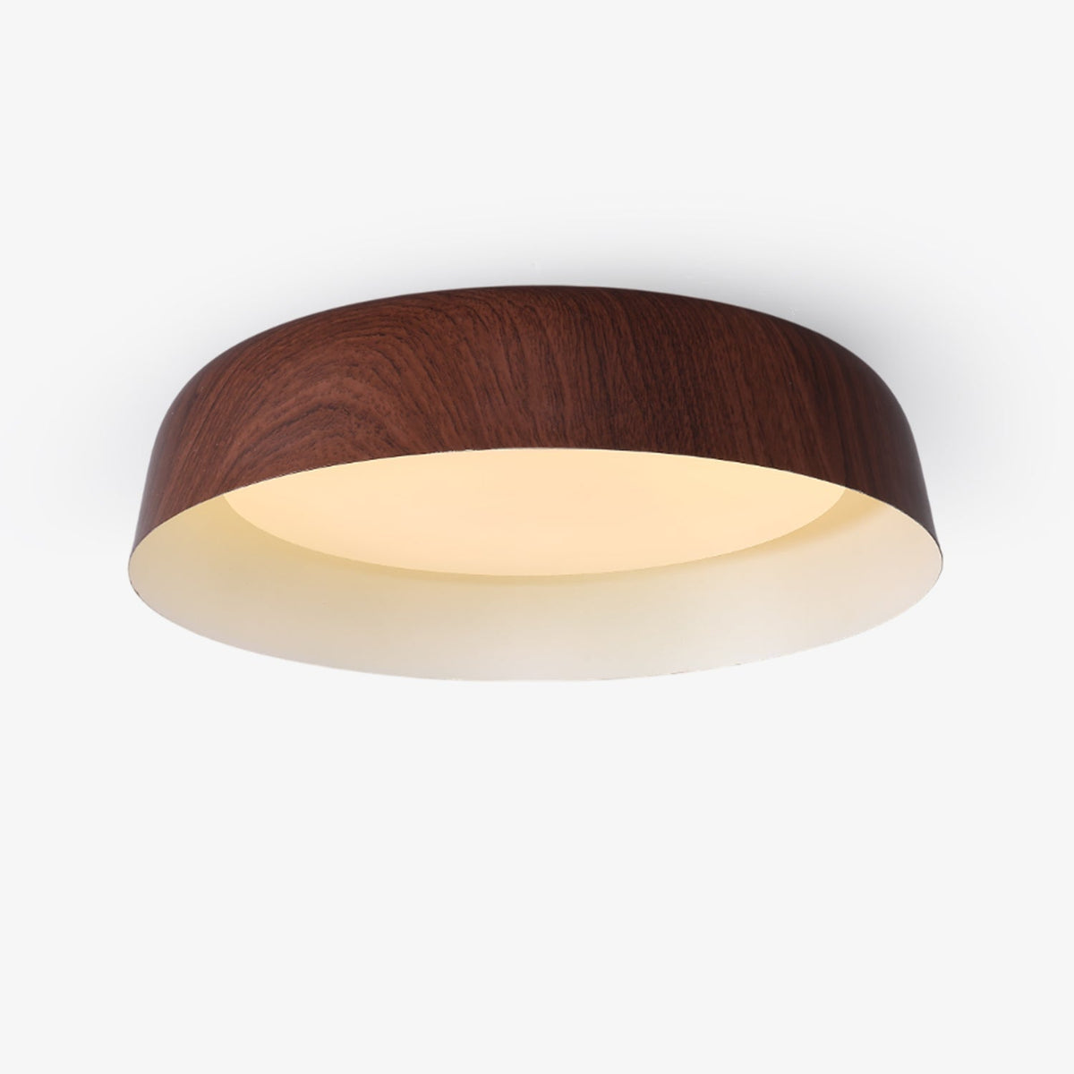 Viraenena Modern Minimalist Ceiling Light