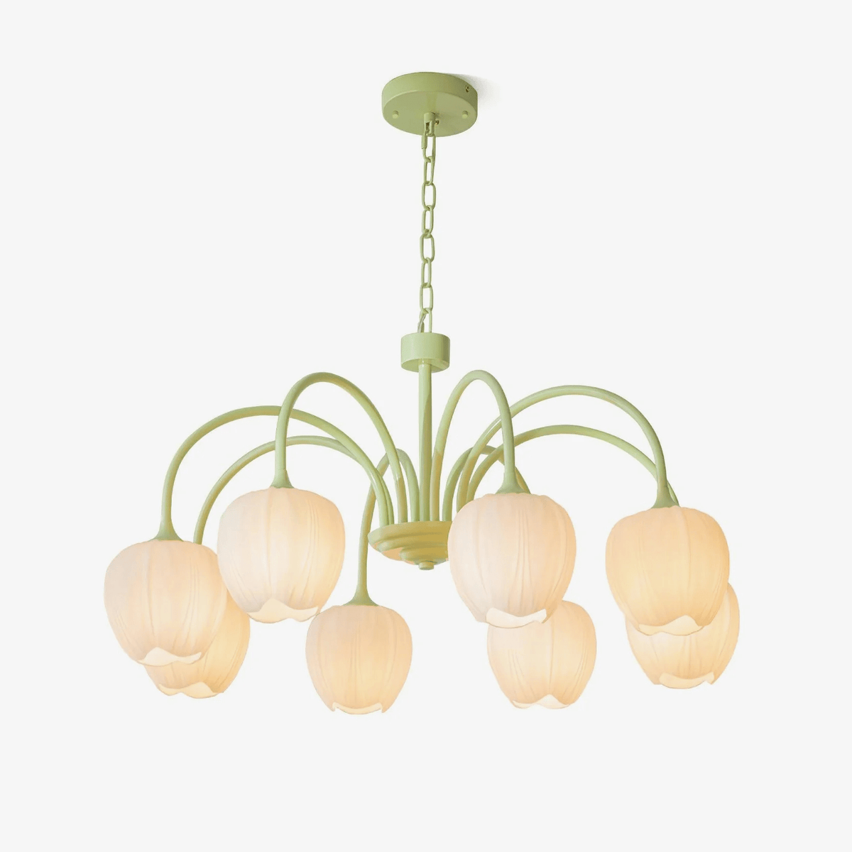 Gaina Tulip Matcha Chandelier